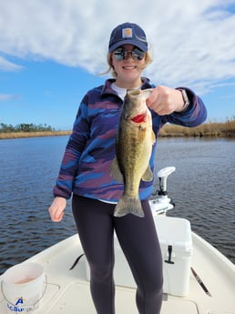 Largemouth Bass fishing in New Orleans, Louisiana