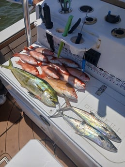 Fishing in Pensacola, Florida