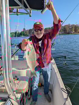 Fishing in Denver, North Carolina