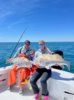 Black Drum Fishing in Hatteras, North Carolina