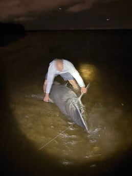 Fishing in Port Orange, Florida