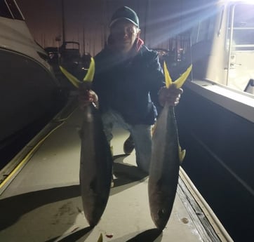 Yellowtail Amberjack Fishing in San Diego, California