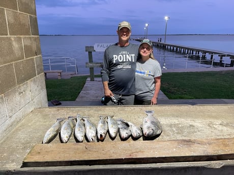 Black Drum, Speckled Trout Fishing in Palacios, Texas