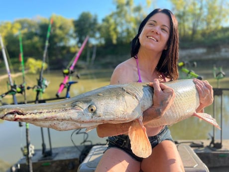 Alligator Gar Fishing in Dallas, Texas