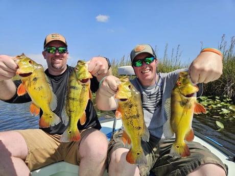 Fishing in Fort Lauderdale, Florida