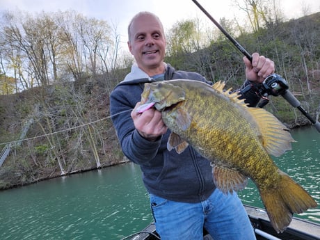 Smallmouth Bass fishing in Lewiston, New York