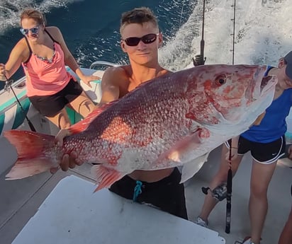 Mahi Mahi / Dorado, Red Snapper fishing in Pensacola, Florida