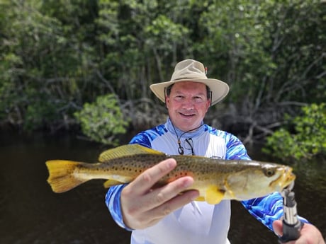 Speckled Trout Fishing in Miami, Florida