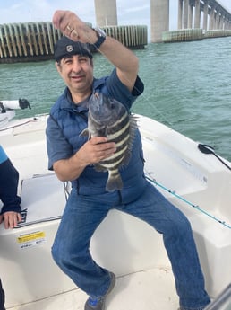 Fishing in St. Petersburg, Florida