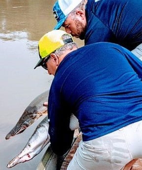 Alligator Gar Fishing in Dallas, Texas