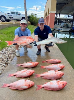 Bonnethead Shark, Red Snapper Fishing in Surfside Beach, Texas