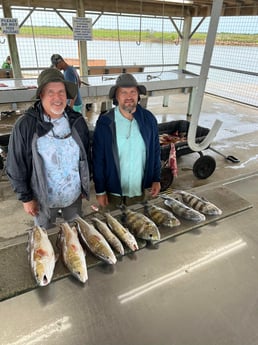 Black Drum, Redfish Fishing in Matagorda, Texas