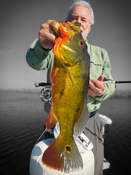 Fishing in Fort Lauderdale, Florida