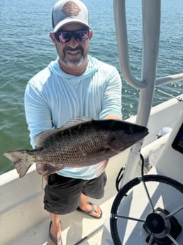 Fishing in St. Petersburg, Florida