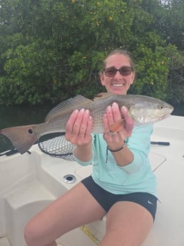 Fishing in St. Petersburg, Florida