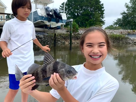 Black Drum fishing in Charleston, South Carolina