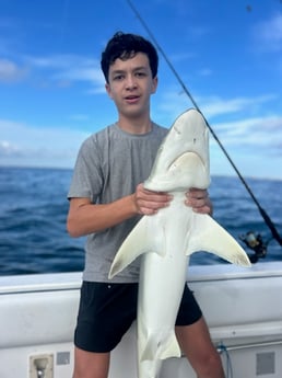 Fishing in Port Orange, Florida