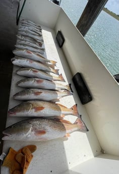 Fishing in Port O&#039;Connor, Texas