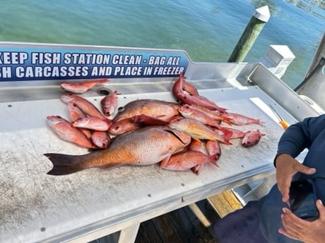 Fishing in Shalimar, Florida