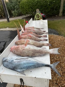 Fishing in Sarasota, Florida