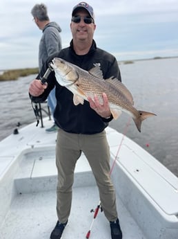 Redfish Fishing in Shell Beach, Louisiana