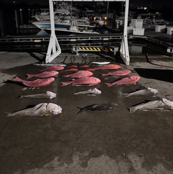 Fishing in Freeport, Texas