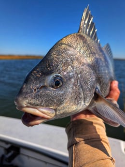 Fishing in Pinetown, North Carolina