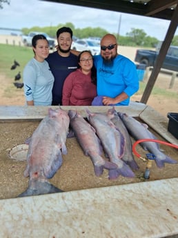 Blue Catfish Fishing in