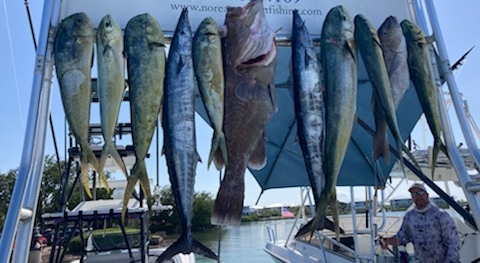 Mahi Mahi / Dorado, Wahoo, Warsaw Grouper fishing in Marathon, Florida