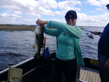Largemouth Bass Fishing in Kissimmee, Florida