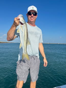 Fishing in Laguna Vista, Texas