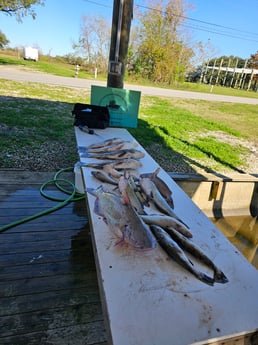 Fishing in Saint Bernard, Louisiana