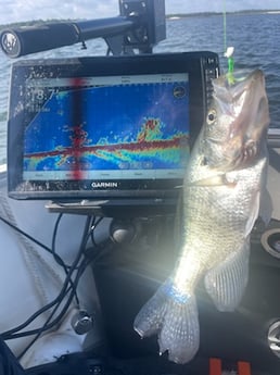 Fishing in Montgomery, Alabama