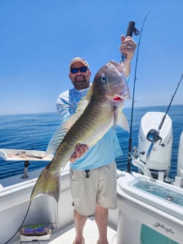 Fishing in Pensacola, Florida