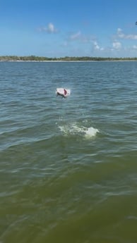 Fishing in Marco Island, Florida