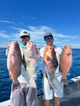 Fishing in Naples, Florida