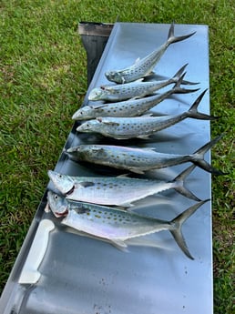 Fishing in Satellite Beach, Florida