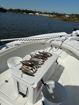 Fishing in Gulf Shores, Alabama