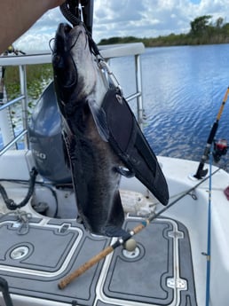 Fishing in Pembroke Pines, Florida