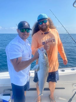 Amberjack Fishing in St. Petersburg, Florida