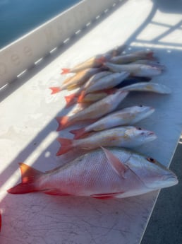 Fishing in Key West, Florida