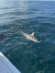 Fishing in Shalimar, Florida