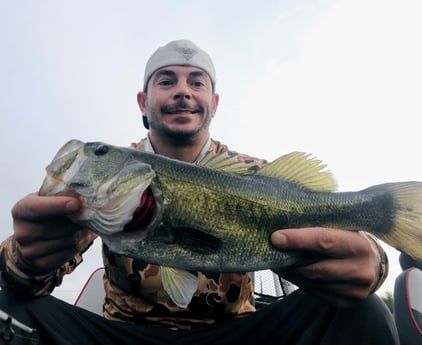 Largemouth Bass Fishing in Austin, Texas