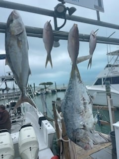 Fishing in Islamorada, Florida