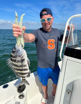 Fishing in Tampa, Florida