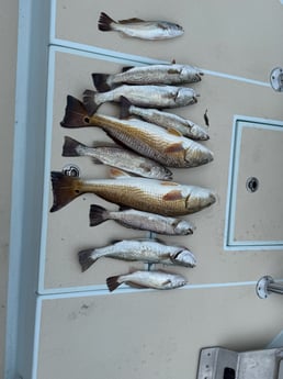 Fishing in Brownsville, Texas