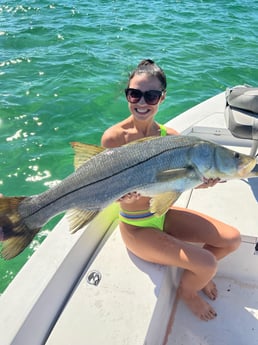 Snook fishing in Miami Beach, Florida