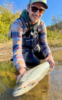 Steelhead Fishing in Sheboygan, Wisconsin