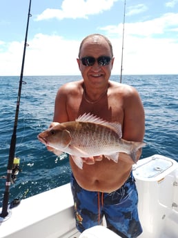 Fishing in Sarasota, Florida