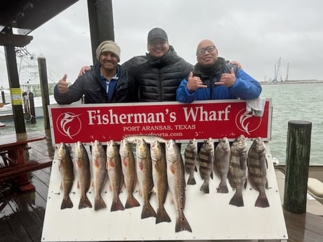 Black Drum, Redfish Fishing in Port Aransas, Texas